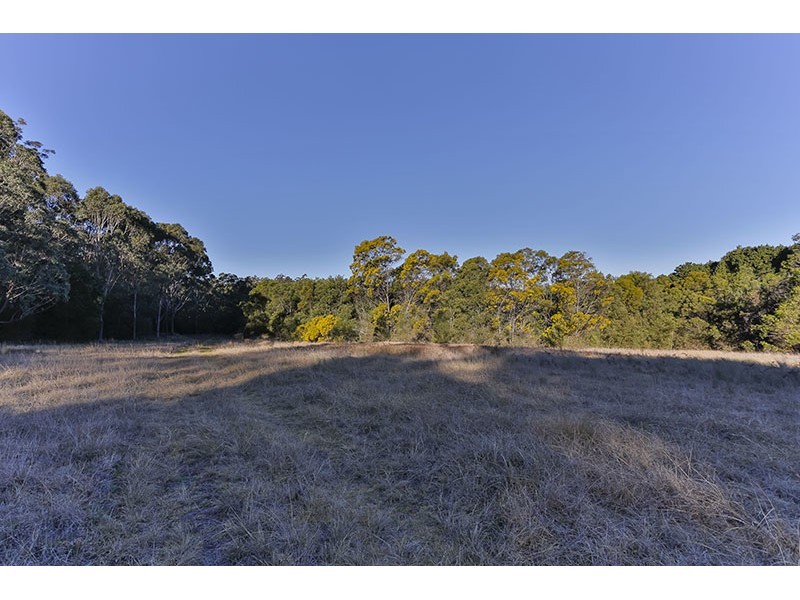 108 Grapetree Road, Hampton QLD 4352