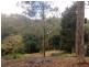 Lot 14, 2229 Murphys Creek Road, Ballard QLD 4352