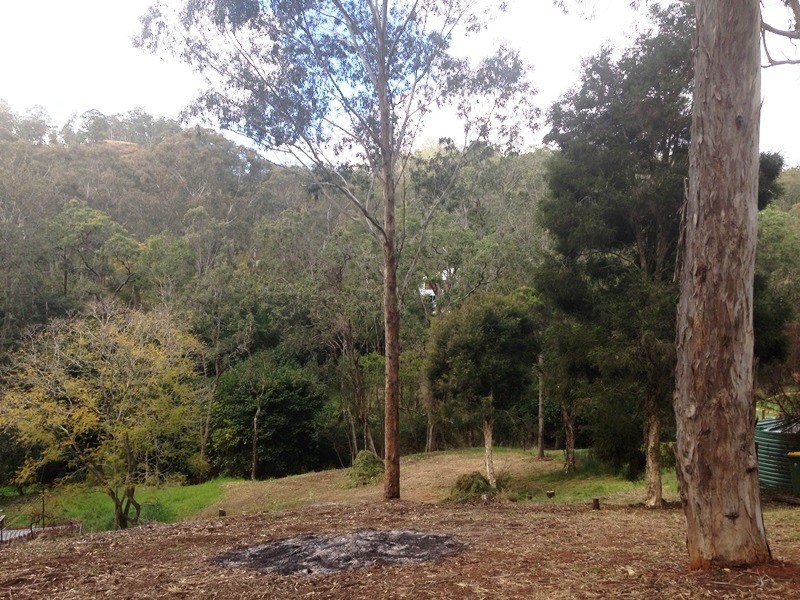 Lot 14, 2229 Murphys Creek Road, Ballard QLD 4352