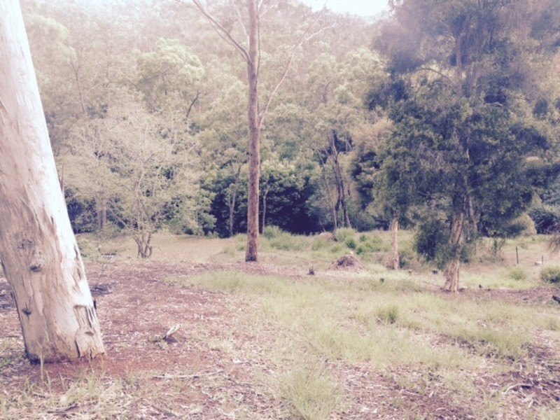 Lot 14, 2229 Murphys Creek Road, Ballard QLD 4352