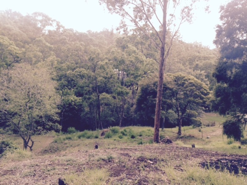 Lot 14, 2229 Murphys Creek Road, Ballard QLD 4352