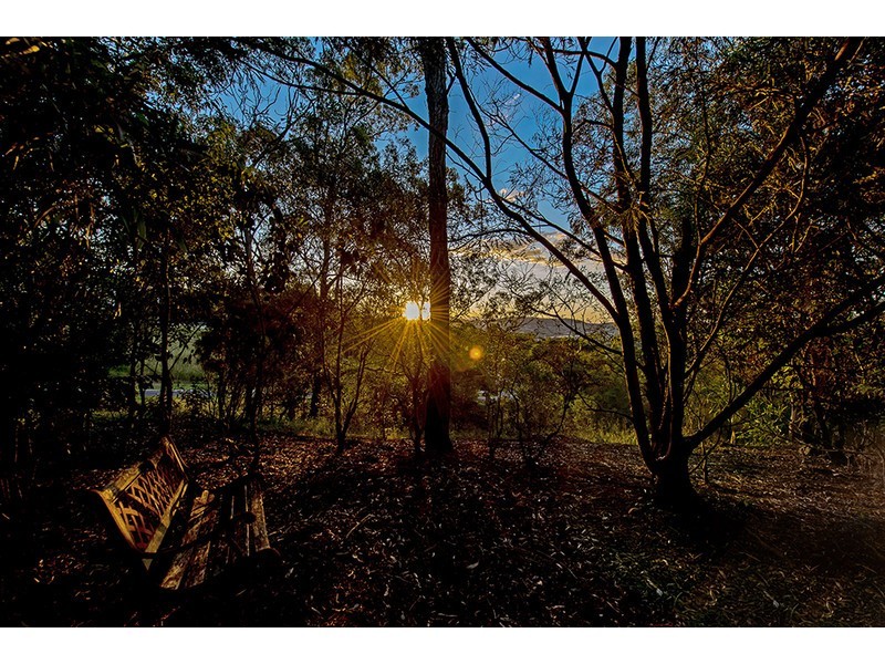 17 Rangeview Drive, Top Camp QLD 4350