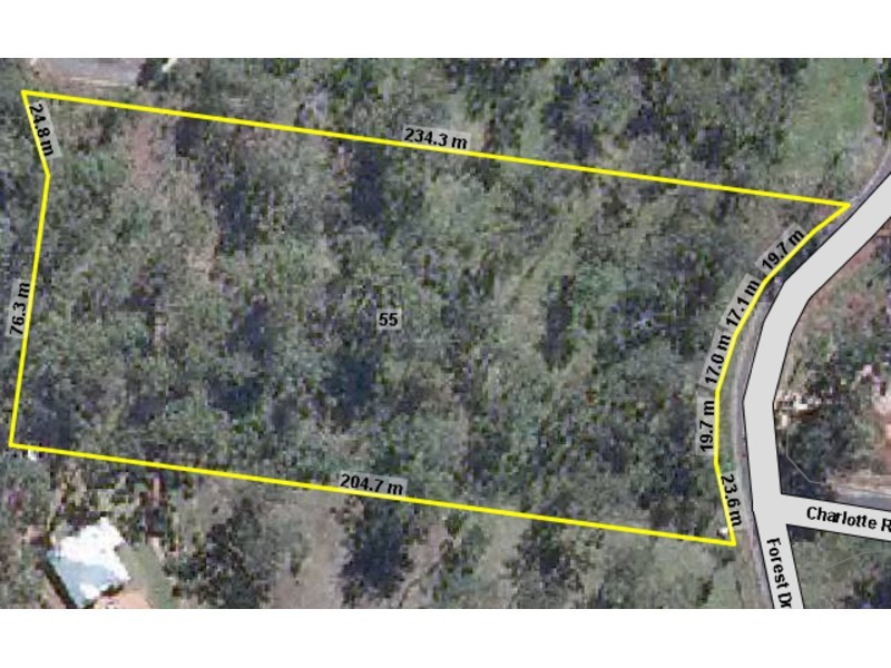 55 Forest Drive, Hampton QLD 4352