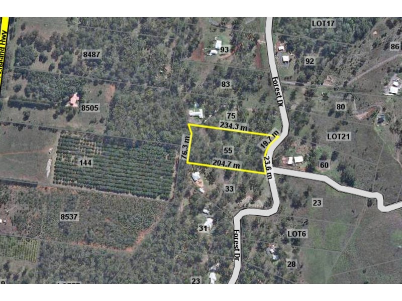 55 Forest Drive, Hampton QLD 4352