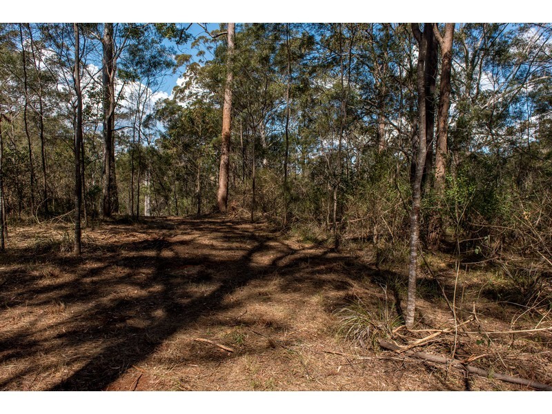 55 Forest Drive, Hampton QLD 4352