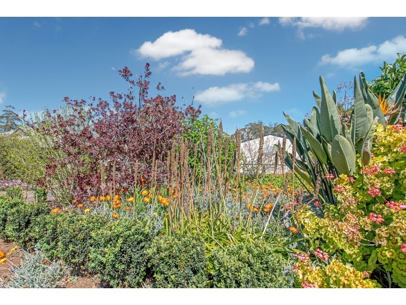 54 Holly Avenue, Cawdor QLD 4352