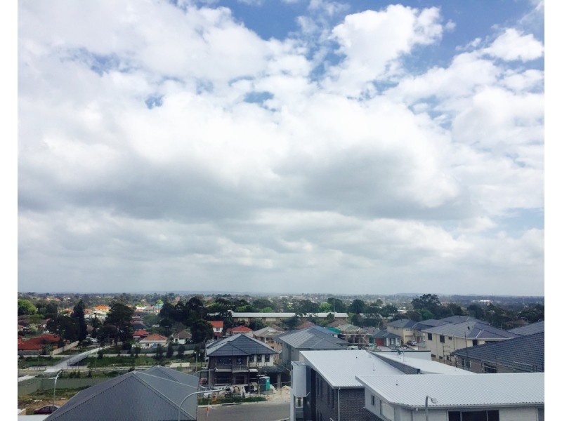 29 Purvis Avenue, Potts Hill NSW 2143