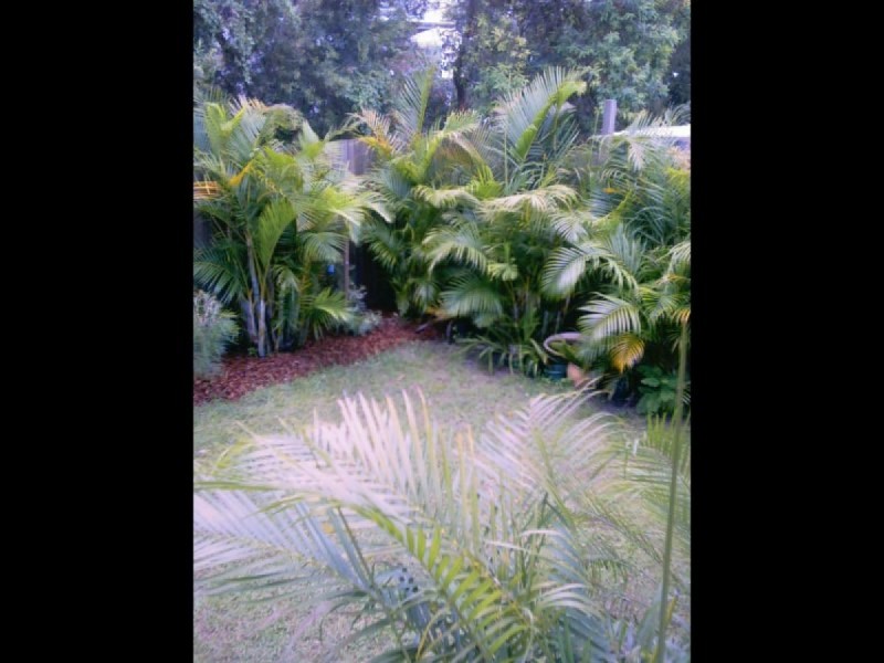 56 Princess Street, Petrie Terrace QLD 4000