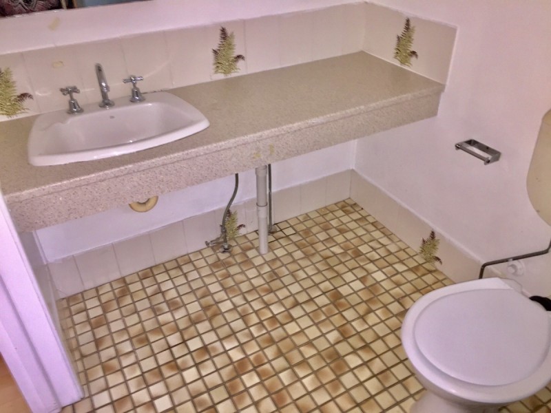 3/25 Brisbane Street, St Lucia QLD 4067