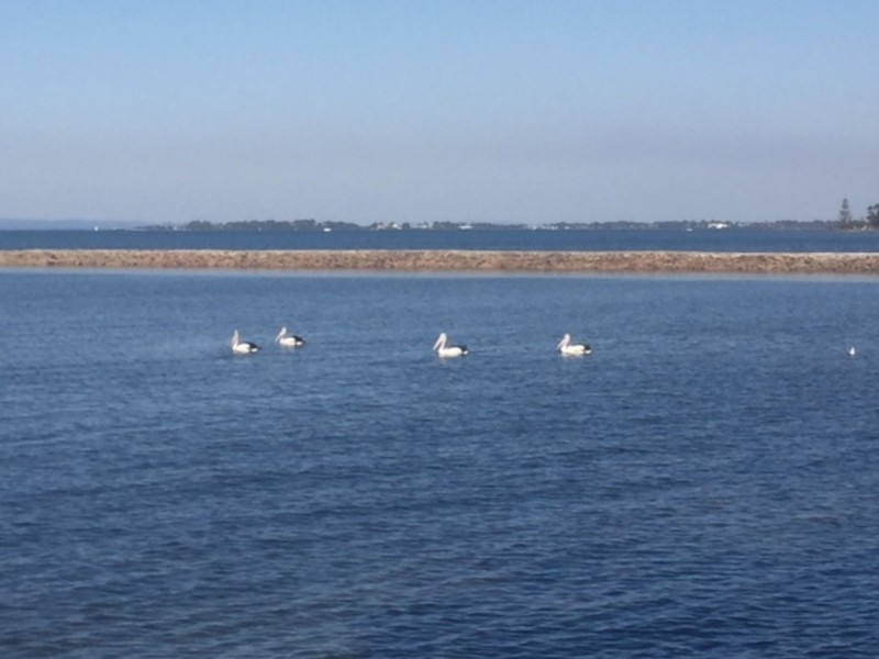 47 Alkoomie Street, Wynnum QLD 4178