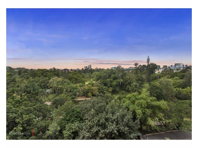 503/132 Alice Street, Brisbane City QLD 4000