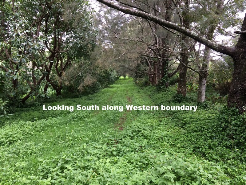 Lot 31, 1A Esme Street Cnr Long Road, Tamborine Mountain QLD 4272