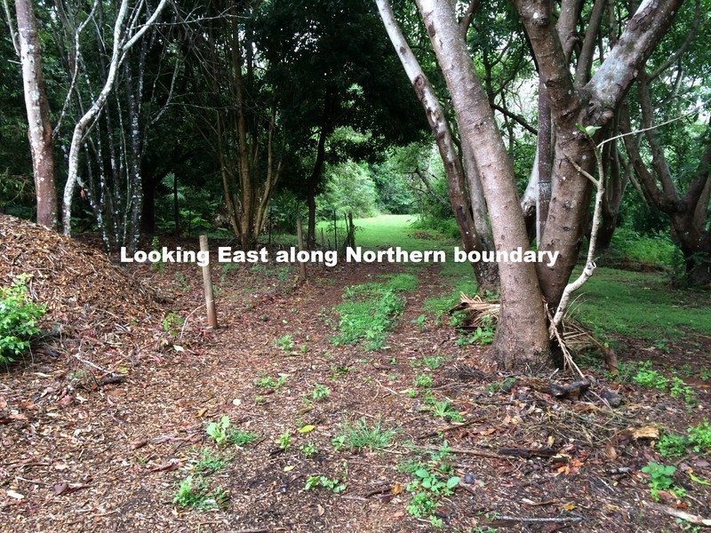 Lot 31, 1A Esme Street Cnr Long Road, Tamborine Mountain QLD 4272