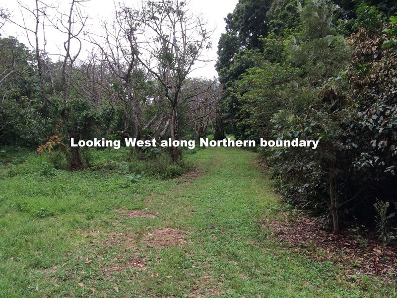 Lot 31, 1A Esme Street Cnr Long Road, Tamborine Mountain QLD 4272