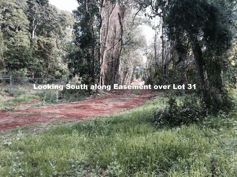 Lot 31, 1A Esme Street Cnr Long Road, Tamborine Mountain QLD 4272