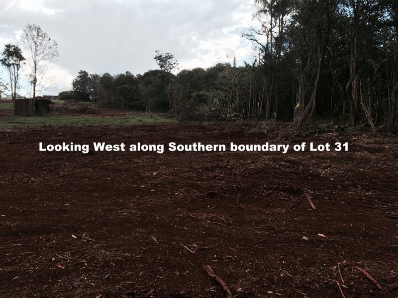Lot 31, 1A Esme Street Cnr Long Road, Tamborine Mountain QLD 4272