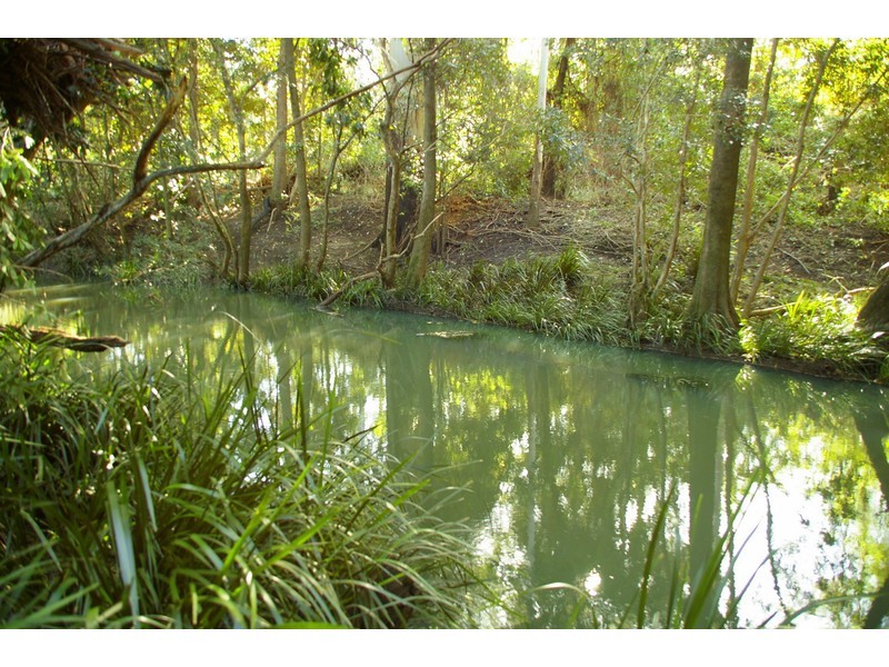 556 Bellangry Road, Bellangry NSW 2446