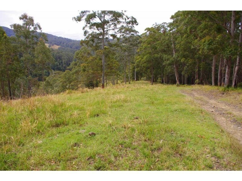 317 Rollans Road, Birdwood NSW 2446