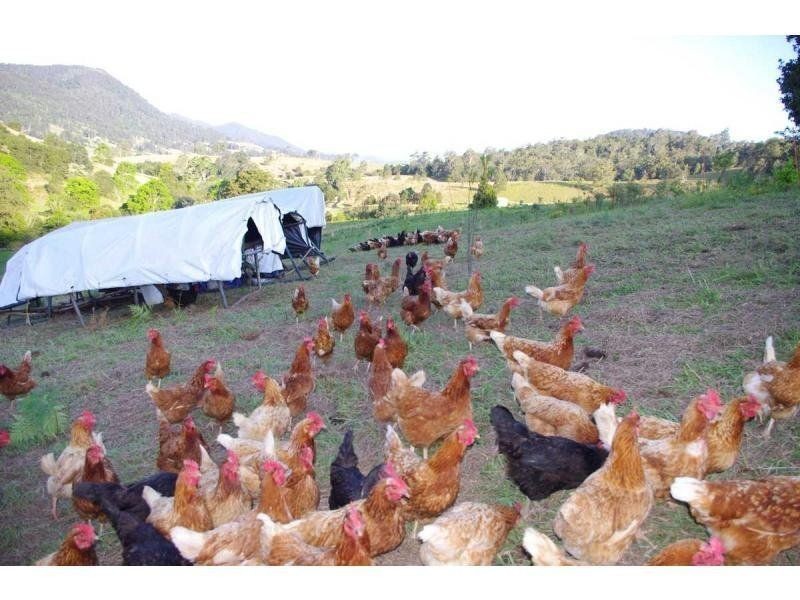 2/ Pine Scrub Road, Kindee NSW 2446