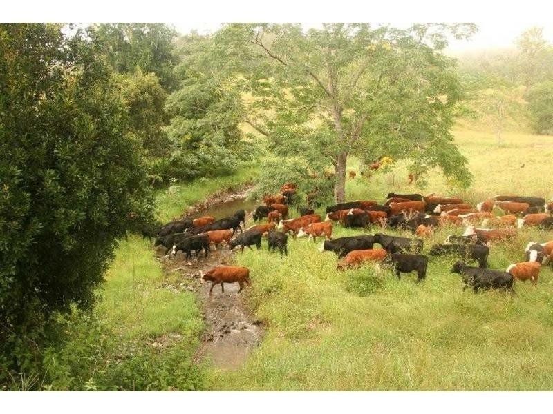 2/ Pine Scrub Road, Kindee NSW 2446