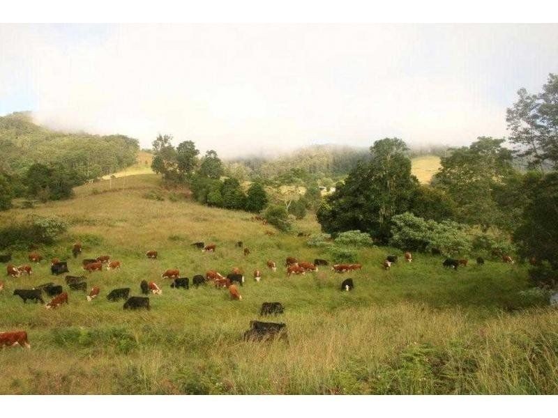 2/ Pine Scrub Road, Kindee NSW 2446