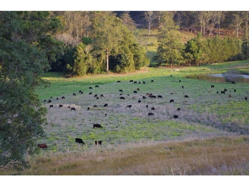 2/ Pine Scrub Road, Kindee NSW 2446