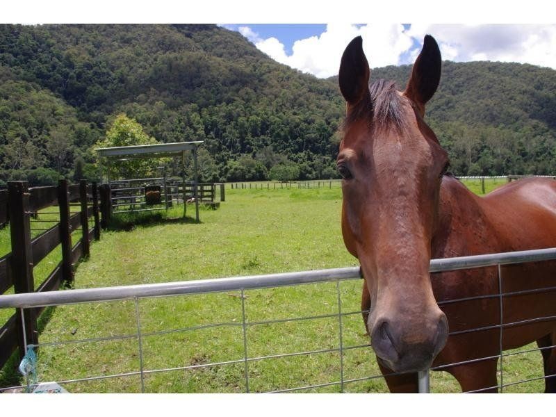 1178 Upper Rollands Plains Road, Rollands Plains NSW 2441