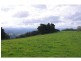 Lot 6 Ingleside Road, Comboyne NSW 2429