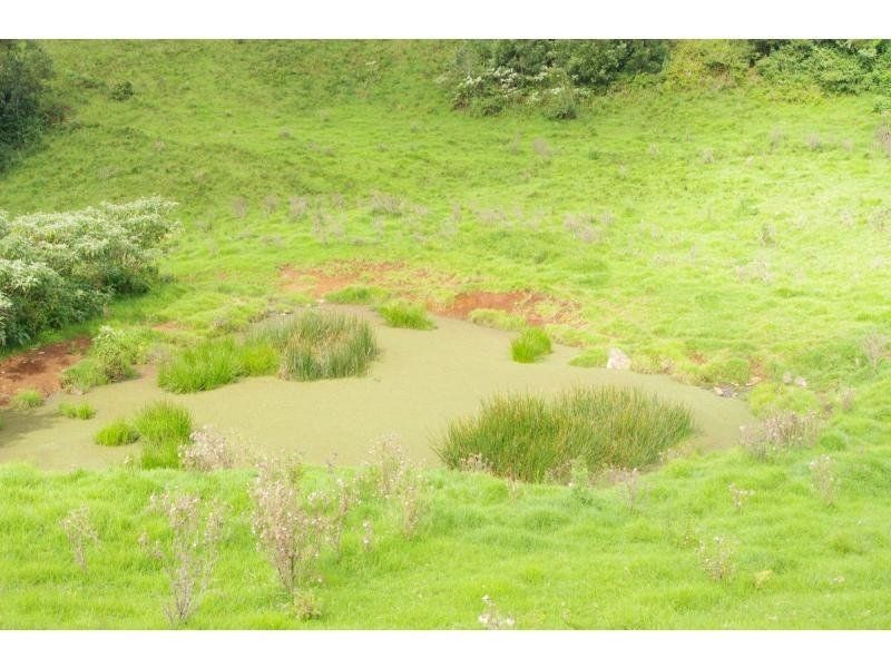 Lot 6 Ingleside Road, Comboyne NSW 2429