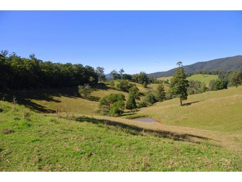 9 Appletree Road, Bellangry NSW 2446