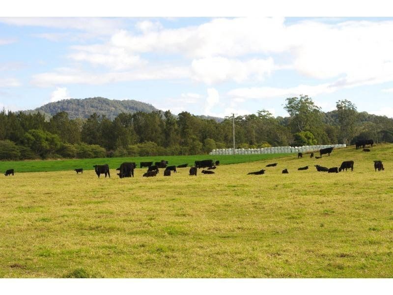 131 Clarefield Dungaycreek Road, Rollands Plains NSW 2441