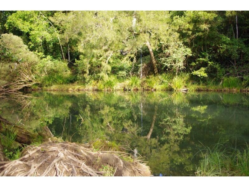 131 Clarefield Dungaycreek Road, Rollands Plains NSW 2441