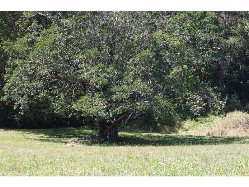 Hannam Vale NSW 2443