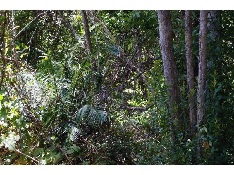 Hannam Vale NSW 2443