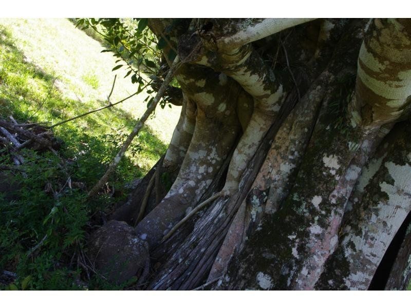 Hannam Vale NSW 2443