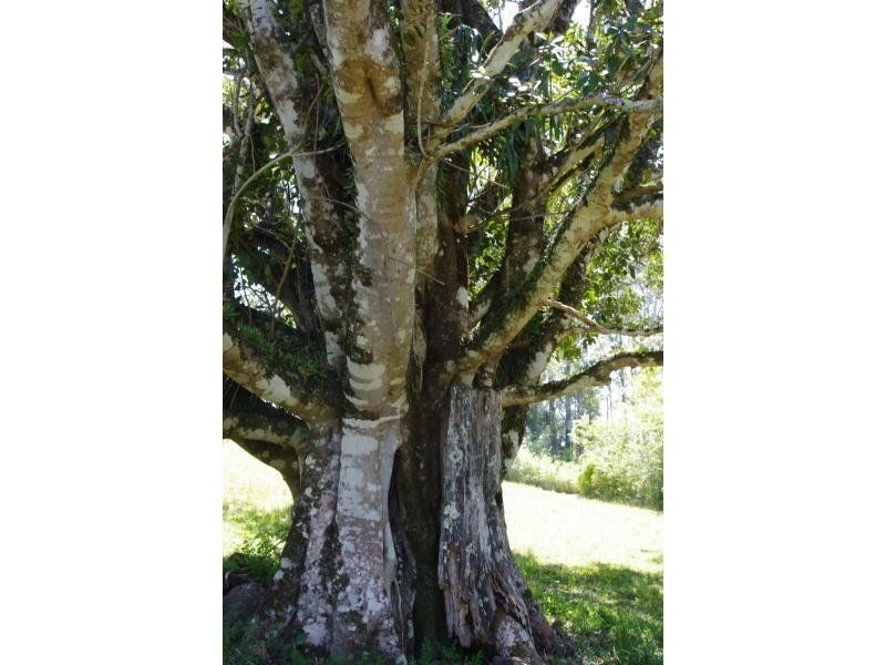 Hannam Vale NSW 2443