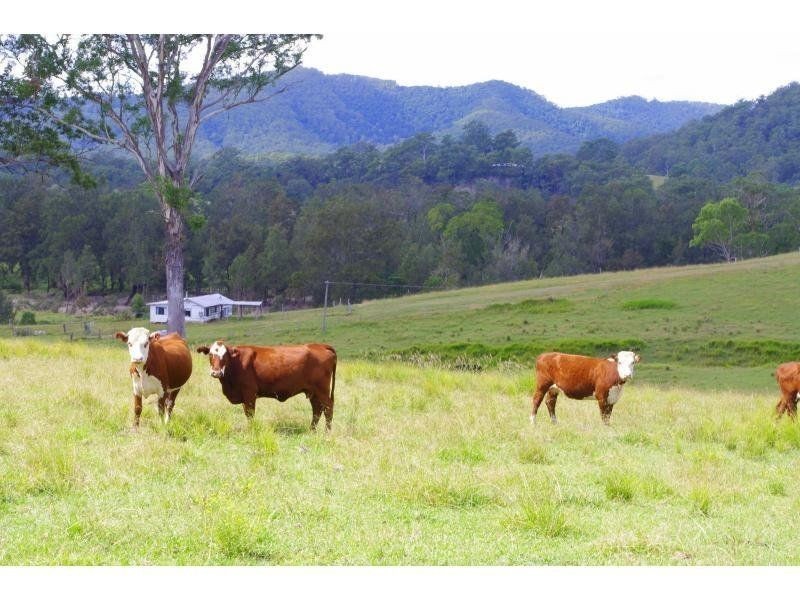 5816 Oxley Highway, Ellenborough NSW 2446