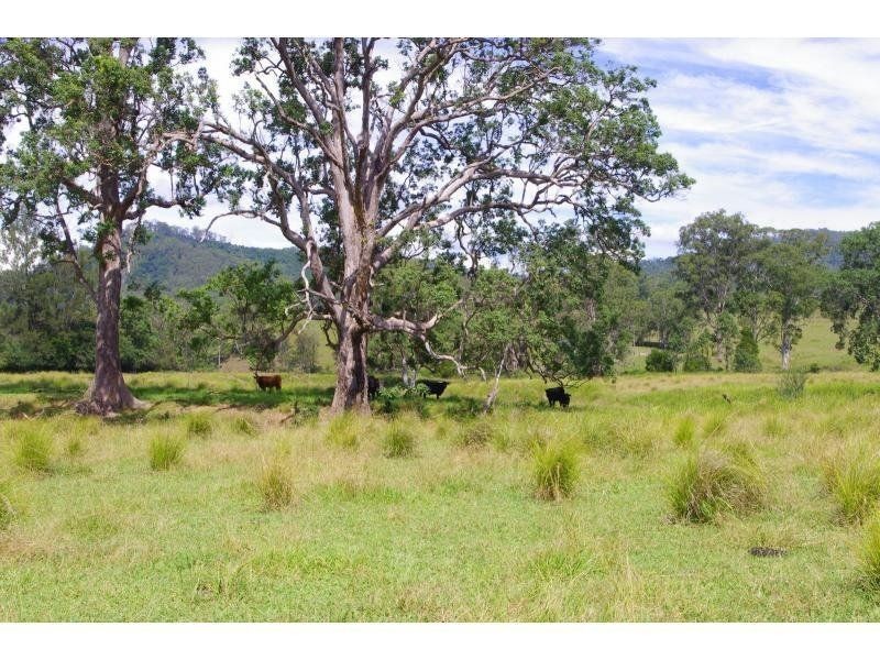 5816 Oxley Highway, Ellenborough NSW 2446