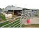 Comboyne NSW 2429