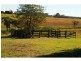 260 King Creek Road, King Creek NSW 2446
