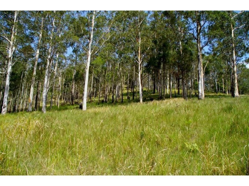 1150 Forbes River Road, Birdwood NSW 2446