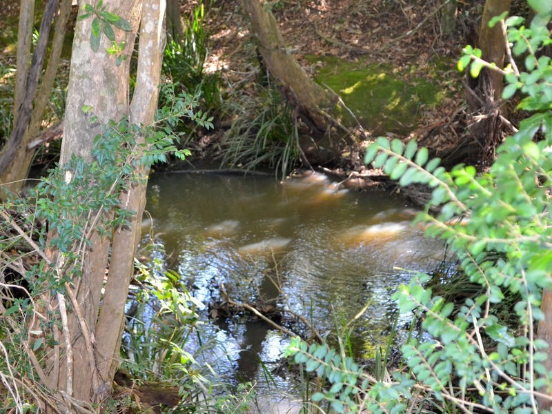 1106 Bago Road, Herons Creek NSW 2443