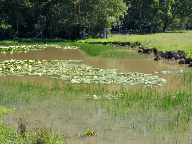 1106 Bago Road, Herons Creek NSW 2443