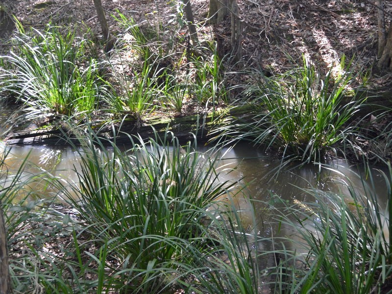 1106 Bago Road, Herons Creek NSW 2443