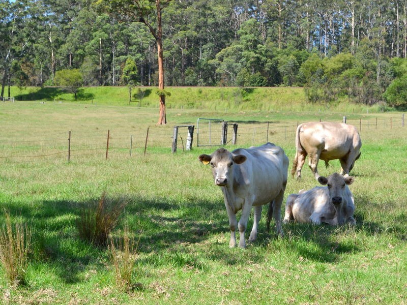 1106 Bago Road, Herons Creek NSW 2443