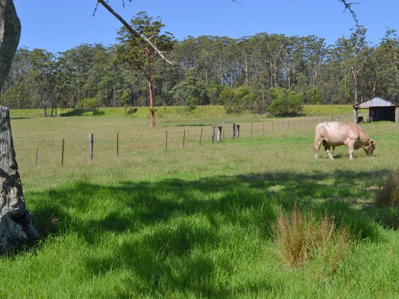 1106 Bago Road, Herons Creek NSW 2443