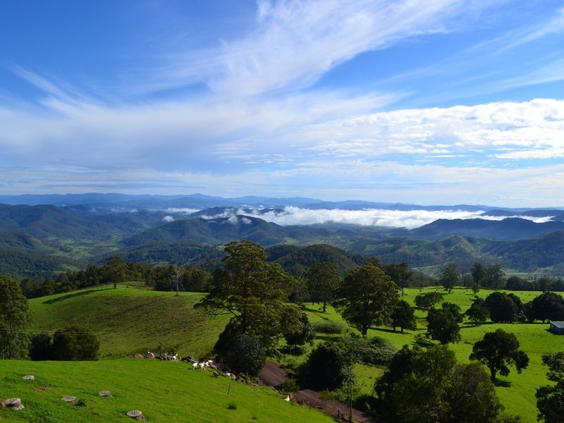 Comboyne NSW 2429