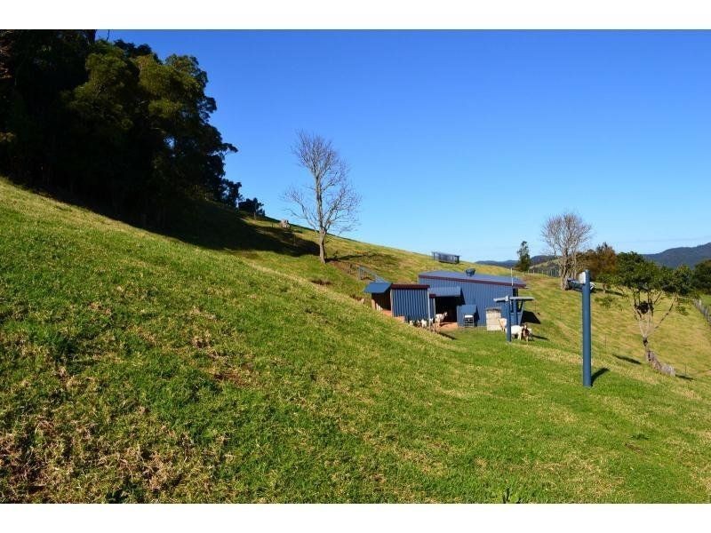 Comboyne NSW 2429