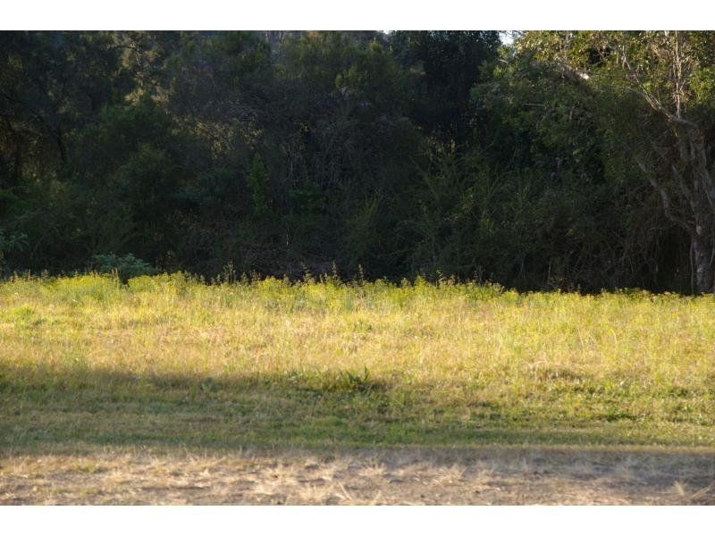 Ellenborough NSW 2446