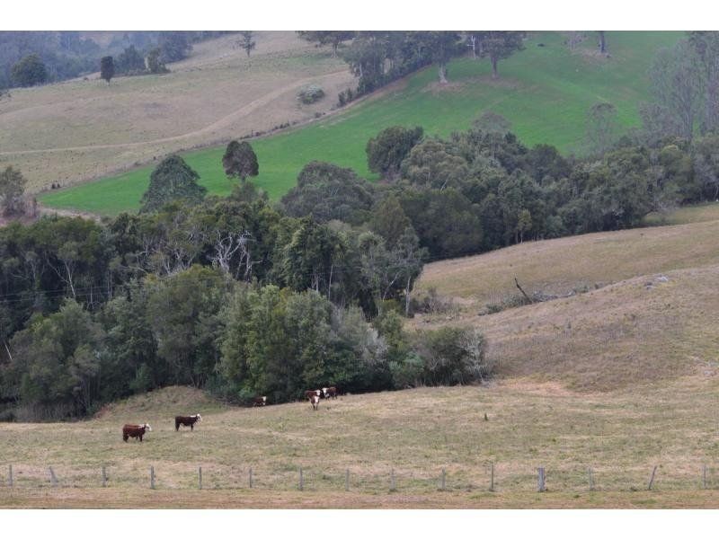 266 Colling Road, Comboyne NSW 2429